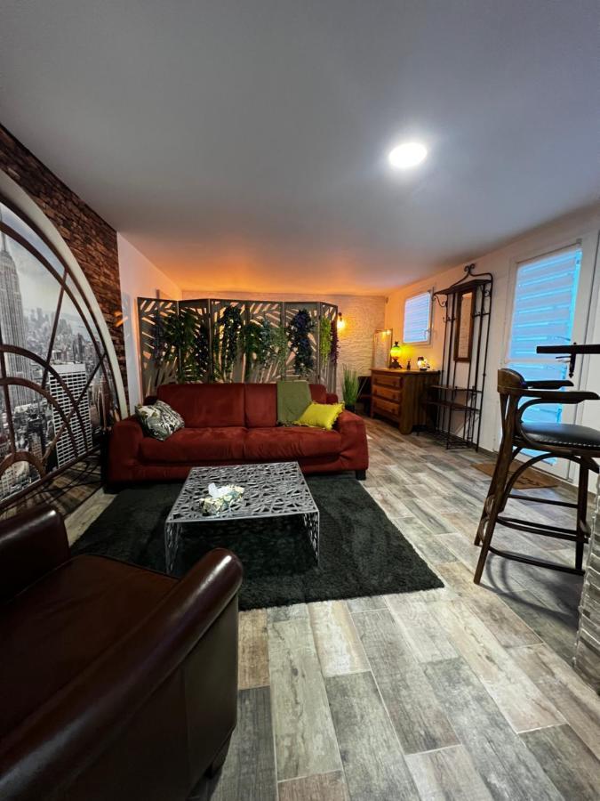 Superbe Appart Avec Jardin Prive Proche Paris Διαμέρισμα Nogent-sur-Seine Εξωτερικό φωτογραφία