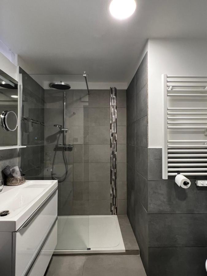 Superbe Appart Avec Jardin Prive Proche Paris Διαμέρισμα Nogent-sur-Seine Εξωτερικό φωτογραφία